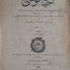 hayati musa